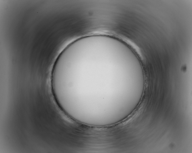 X0000103231423200808280939
