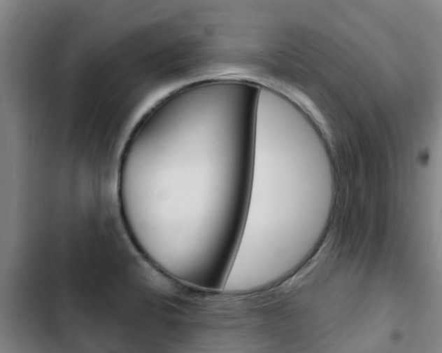 X0000103231424200808280939