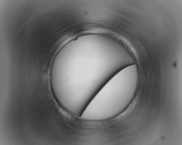 X0000103231425200808280939