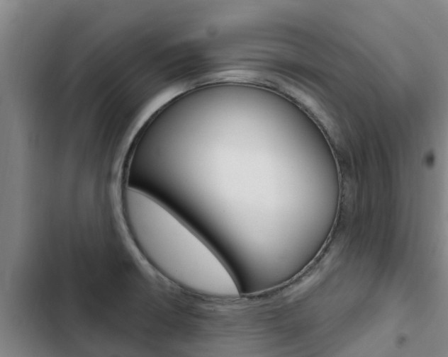 X0000103231426200808280939