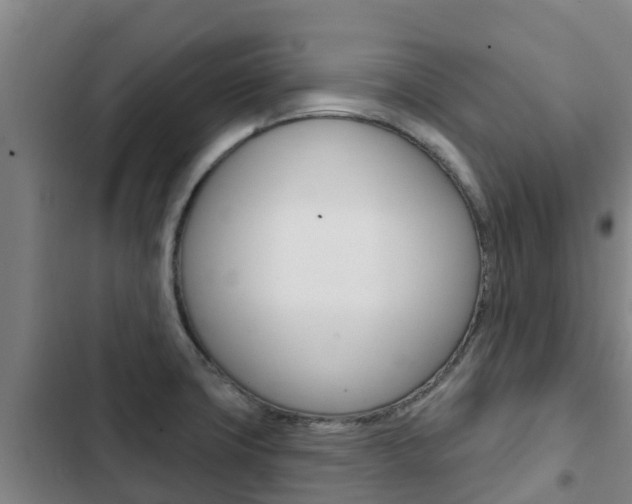 X0000103231427200808280939