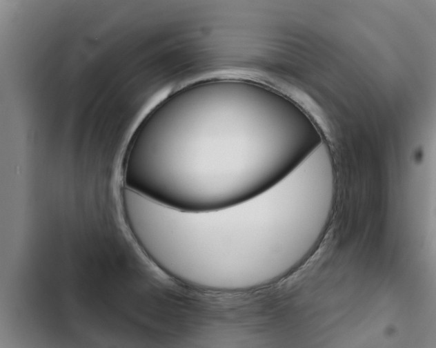 X0000103231428200808280939