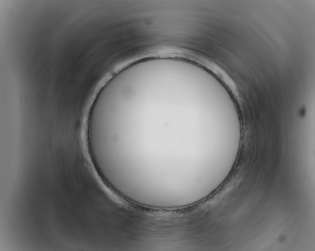 X0000103231429200808280939