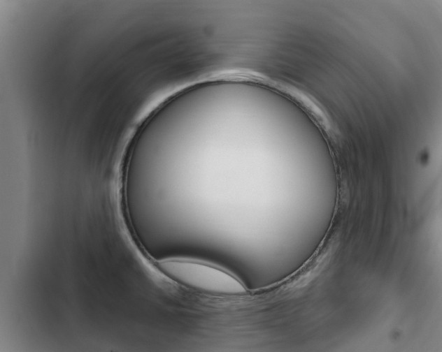X0000103231430200808280939