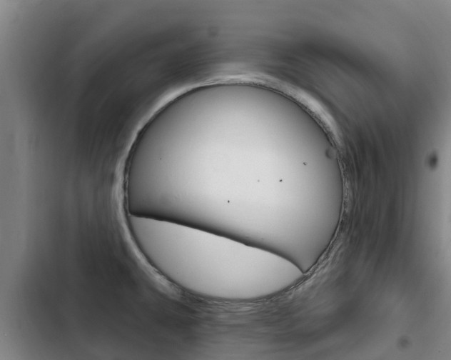 X0000103231431200808280939