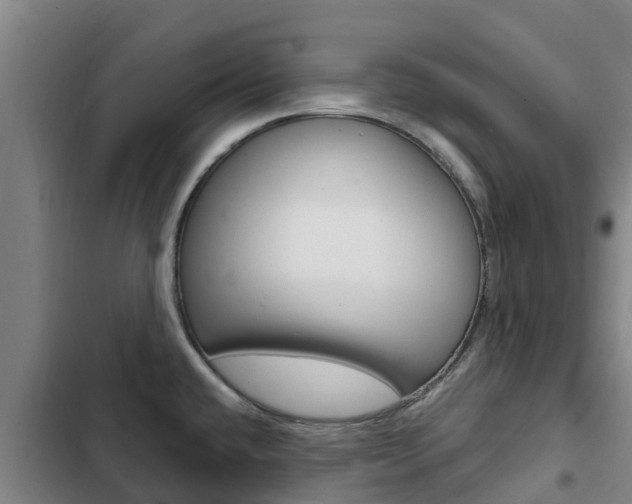 X0000103231432200808280939