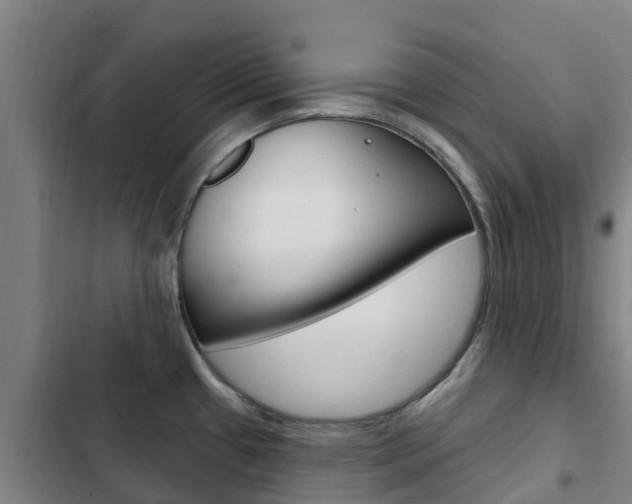 X0000103231433200808280939