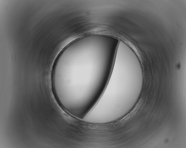 X0000103231434200808280939