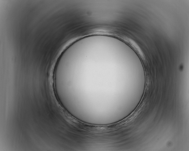 X0000103231435200808280939