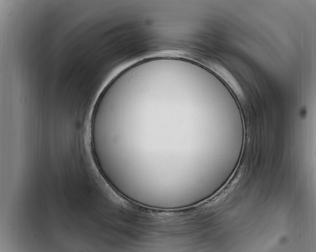 X0000103231436200808280939