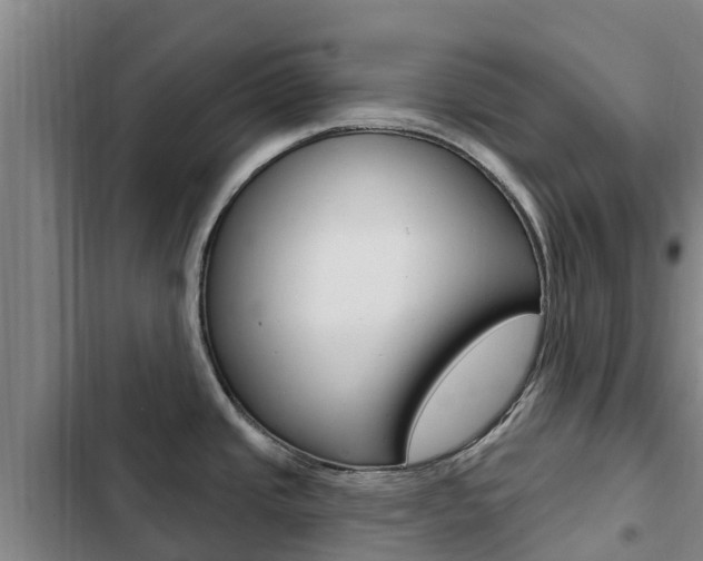 X0000103231437200808280939