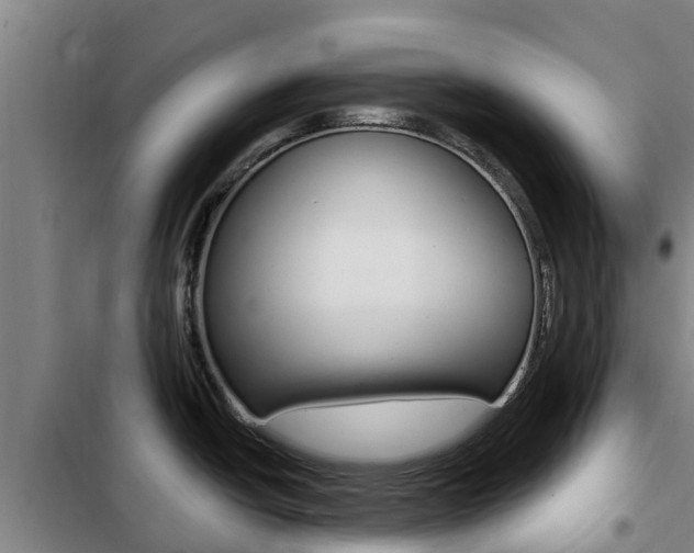 X0000103231438200808280939