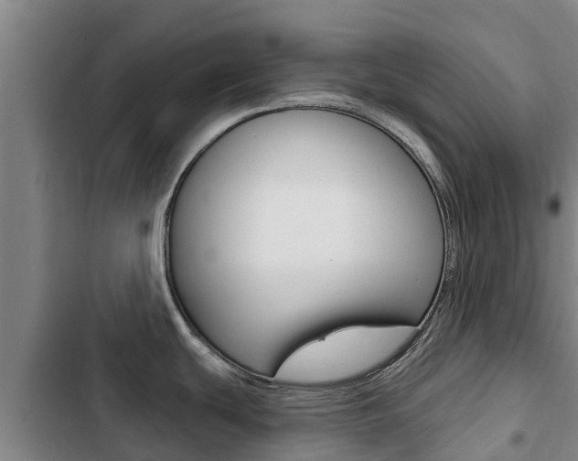 X0000103231439200808280939