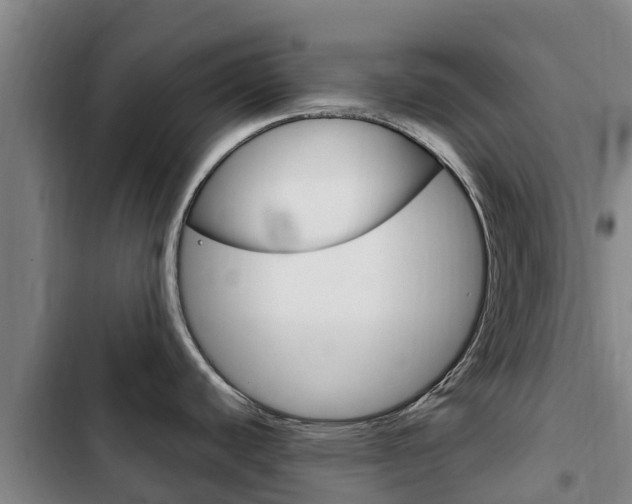 X0000103231440200808280939