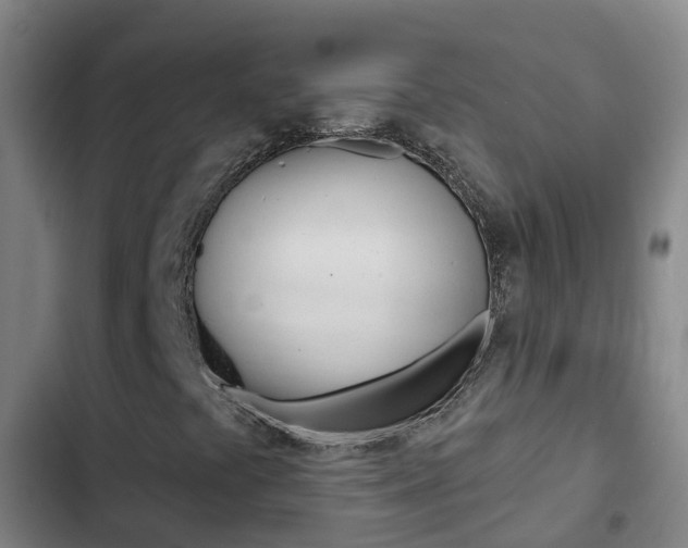 X0000103231441200808280938