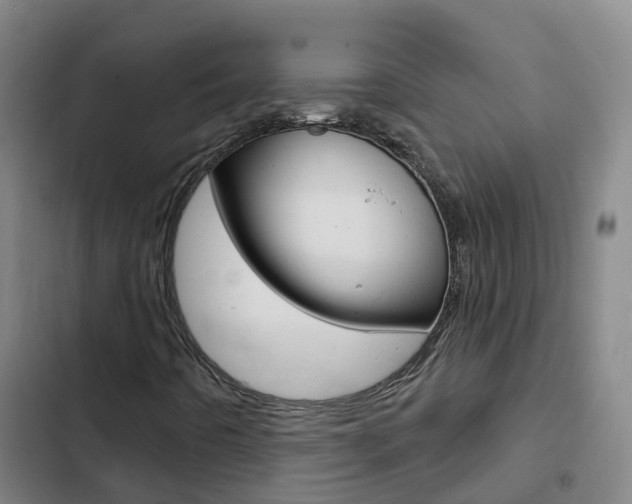 X0000103231442200808280938