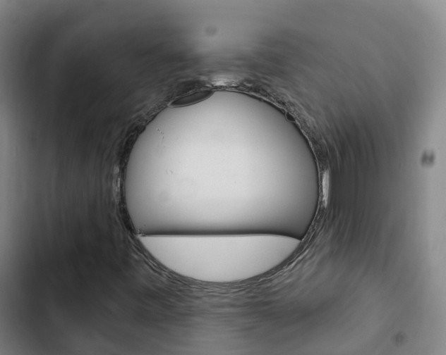 X0000103231443200808280938