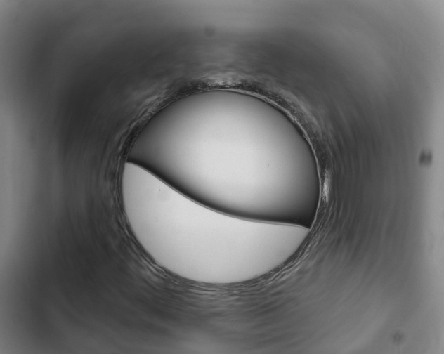 X0000103231444200808280938