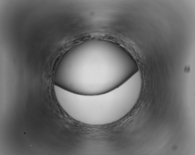 X0000103231445200808280938