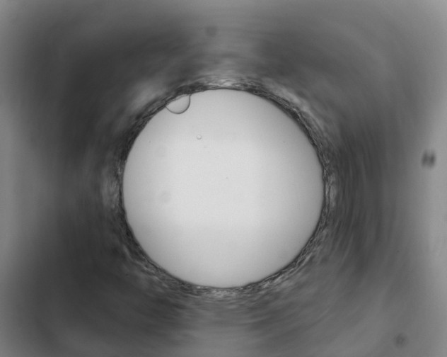 X0000103231446200808280938