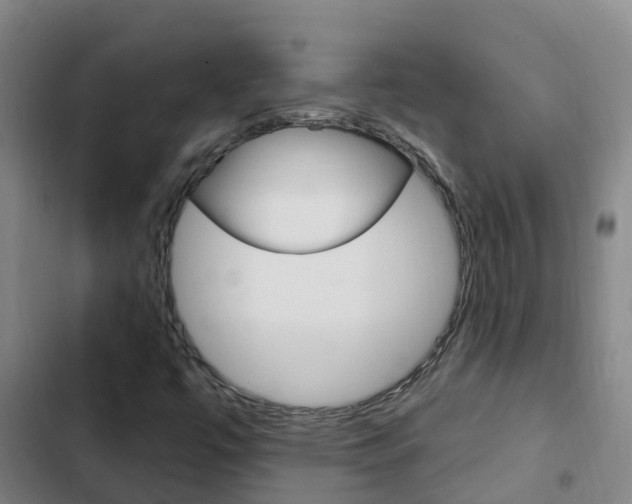 X0000103231447200808280938