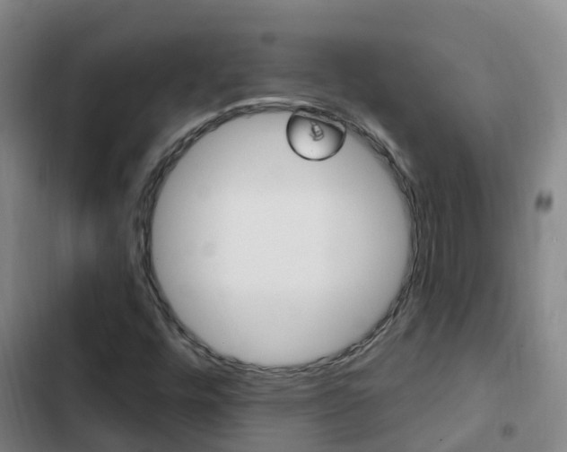 X0000103231448200808280938