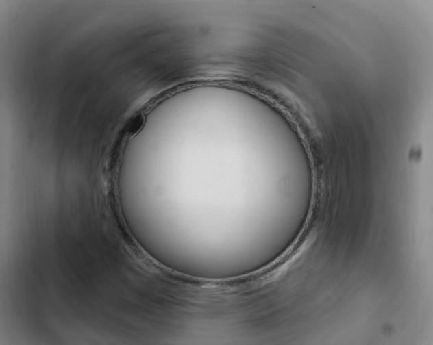 X0000103231449200808280938