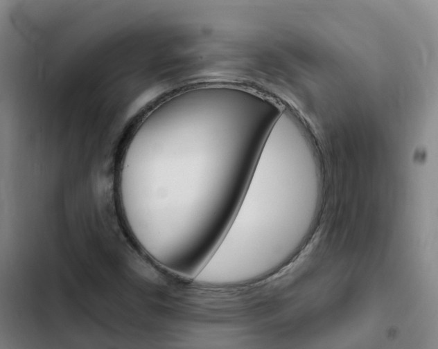 X0000103231450200808280938