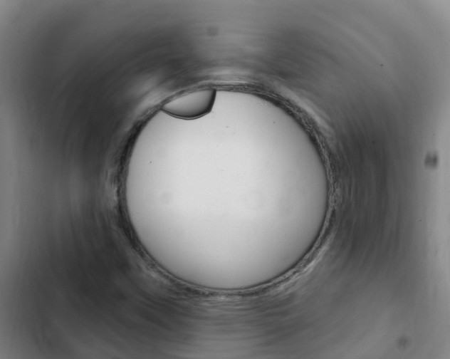X0000103231451200808280938