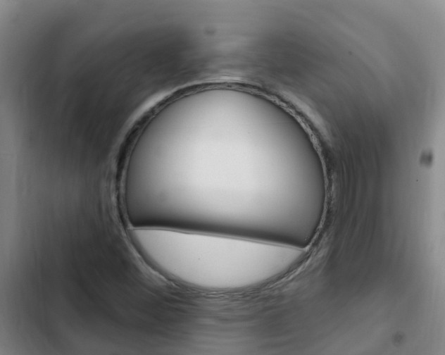 X0000103231452200808280938