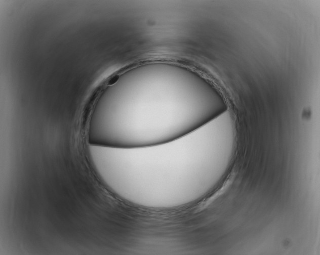 X0000103231453200808280938