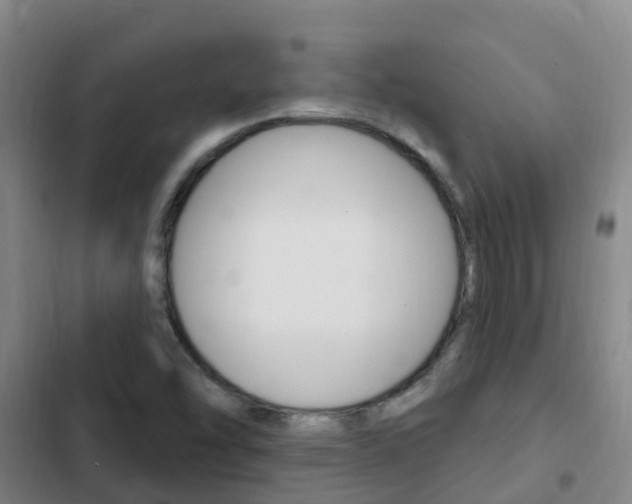 X0000103231454200808280938