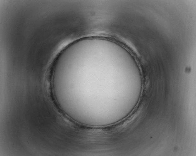 X0000103231455200808280938