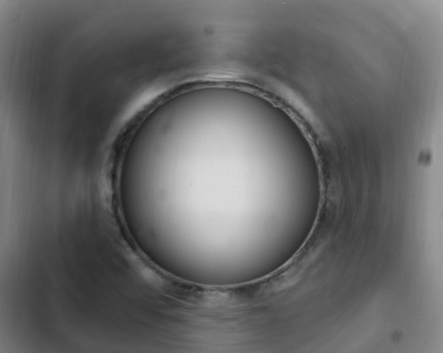 X0000103231456200808280938