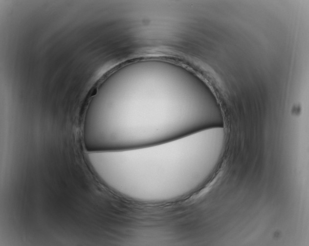 X0000103231457200808280938