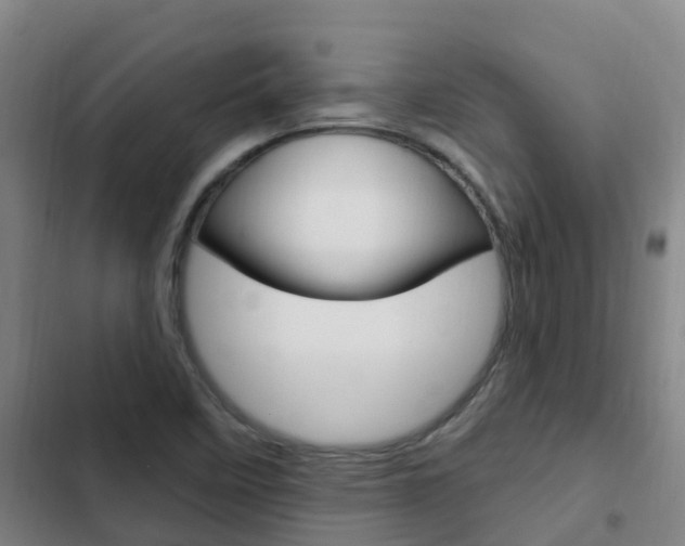 X0000103231458200808280938