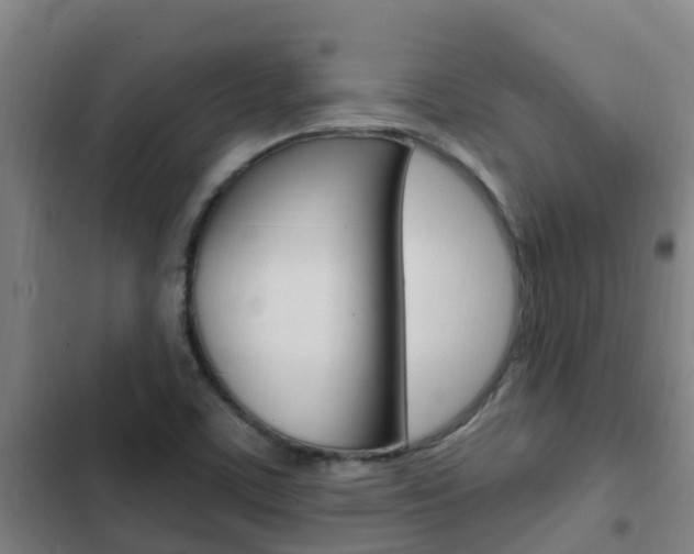 X0000103231459200808280938