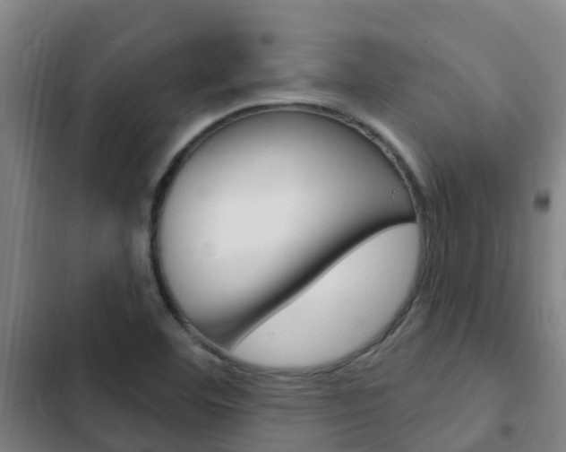 X0000103231460200808280938