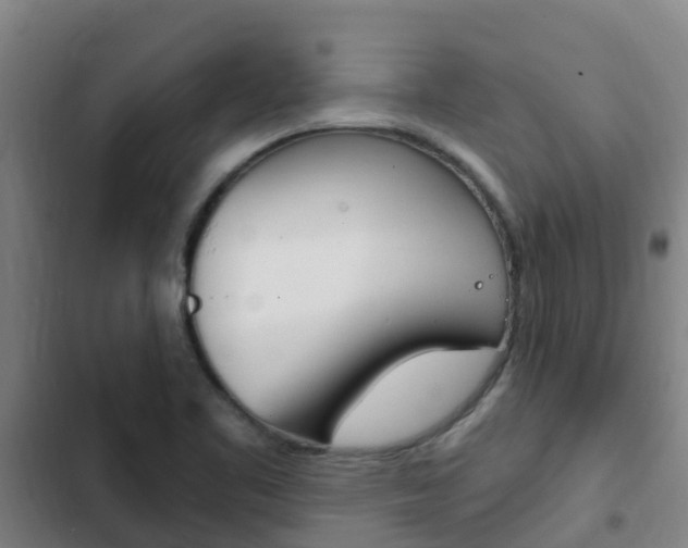 X0000103231461200808280938