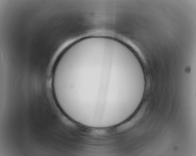 X0000103231462200808280938