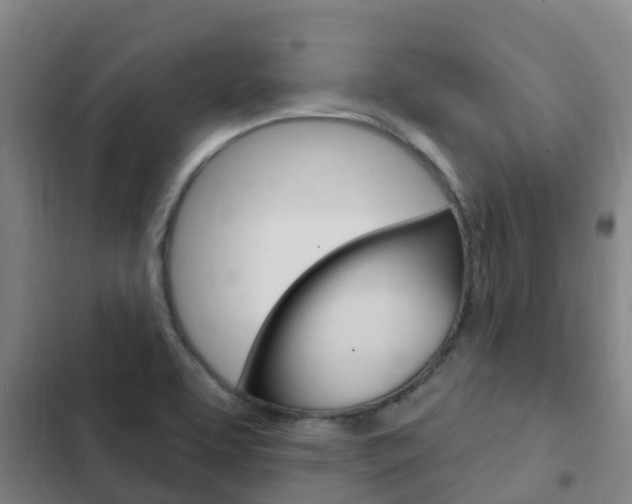 X0000103231463200808280938