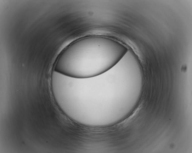 X0000103231465200808280938