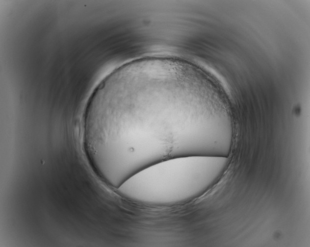 X0000103231467200808280938