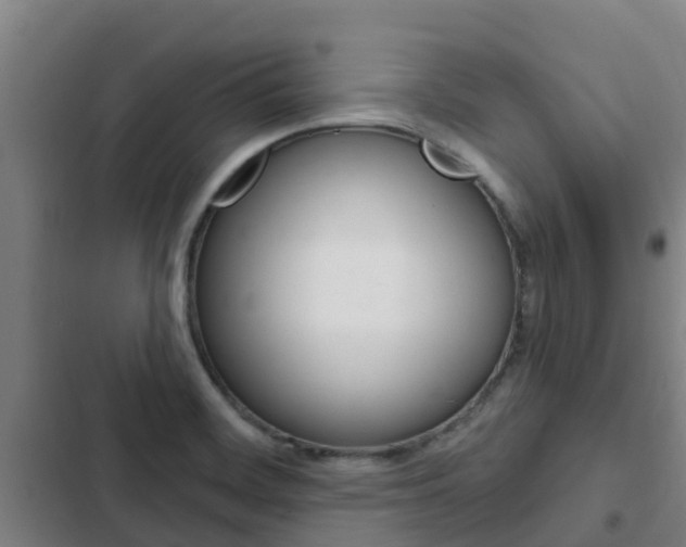 X0000103231468200808280938