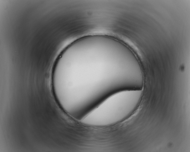 X0000103231469200808280938