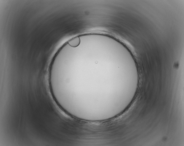 X0000103231470200808280938