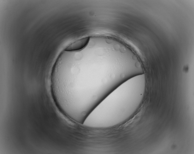 X0000103231471200808280938
