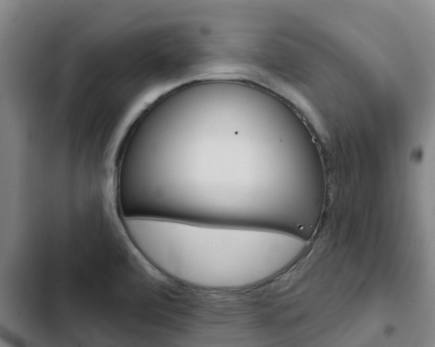 X0000103231472200808280938