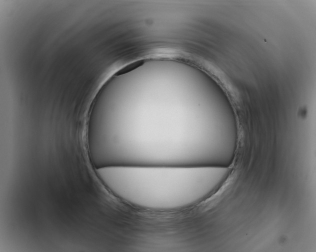 X0000103231473200808280938