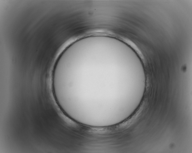 X0000103231474200808280938